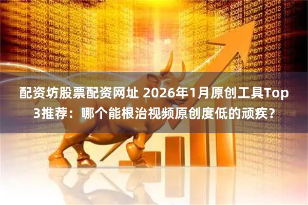 配资坊股票配资网址 2026年1月原创工具Top3推荐：哪个能根治视频原创度低的顽疾？